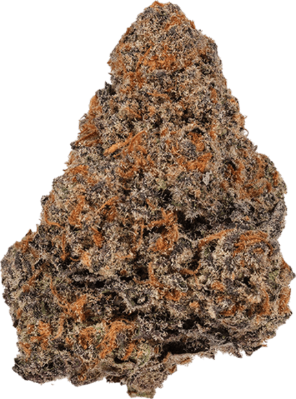 Phoenix Lights image 1